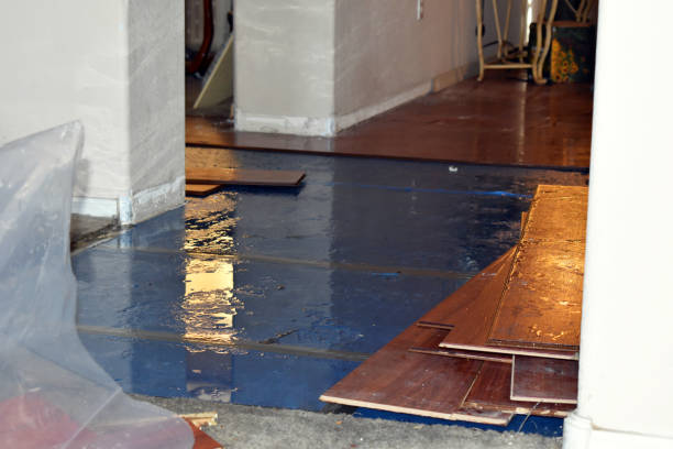 Professional Basement Flood Cleanup technician working in Ireton, IA